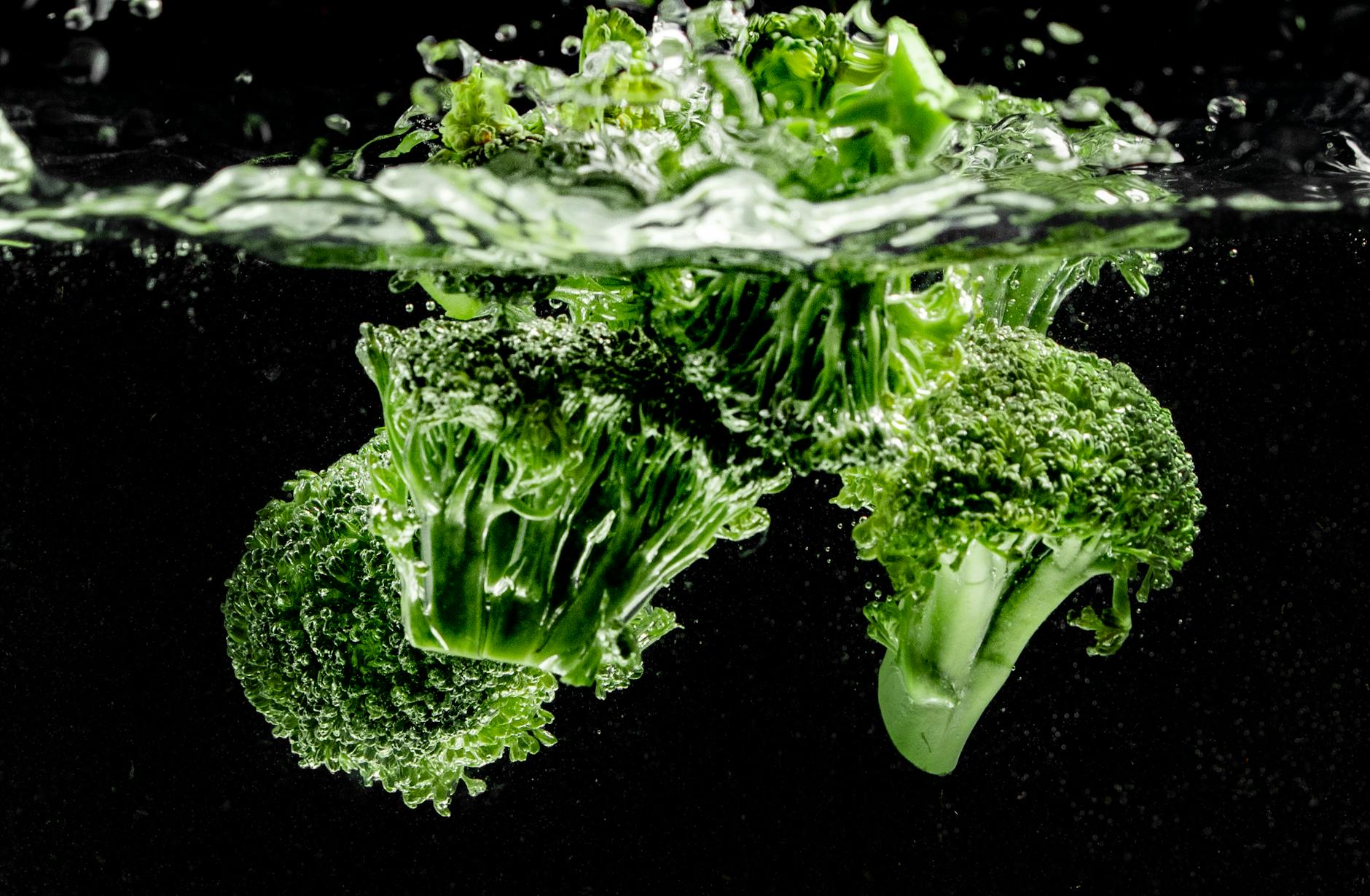 Can You Really Grow Broccoli In a Hydroponic System?