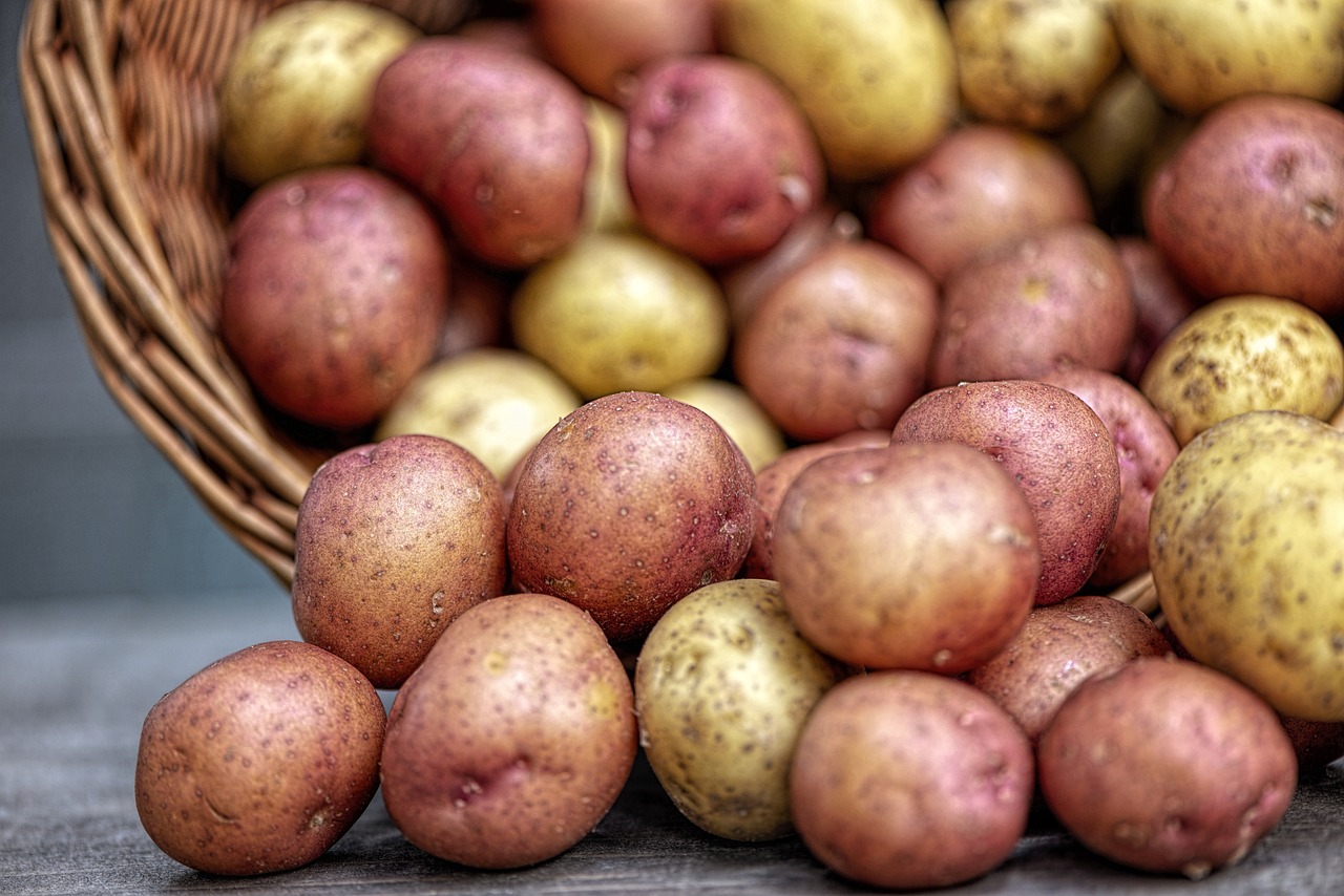 Can You Grow Potatoes in a Raised Bed? Here’s a Quick Guide