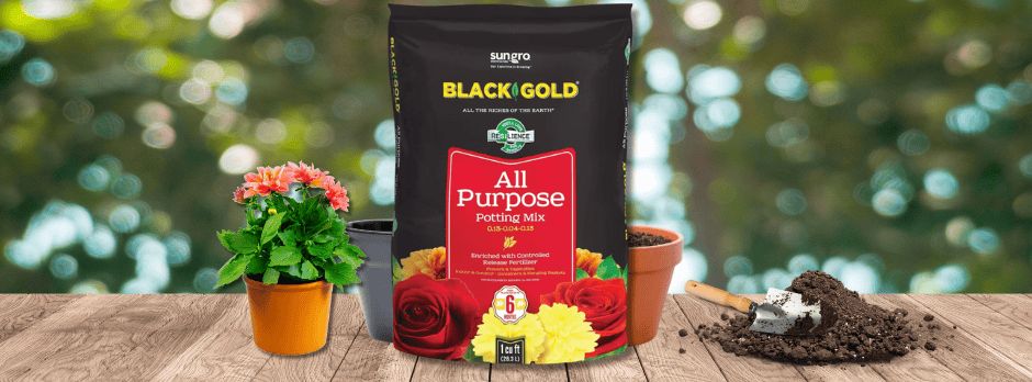 all purpose black and gold soil on a garden table