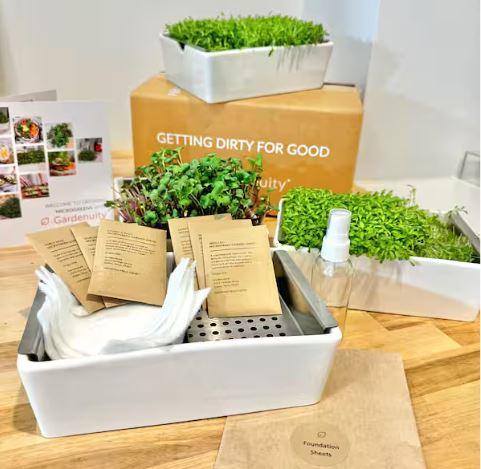 Microgreens Indoor Garden Starter Kit with 6-Seed Varieties, Reusable Desktop Planter and Tray