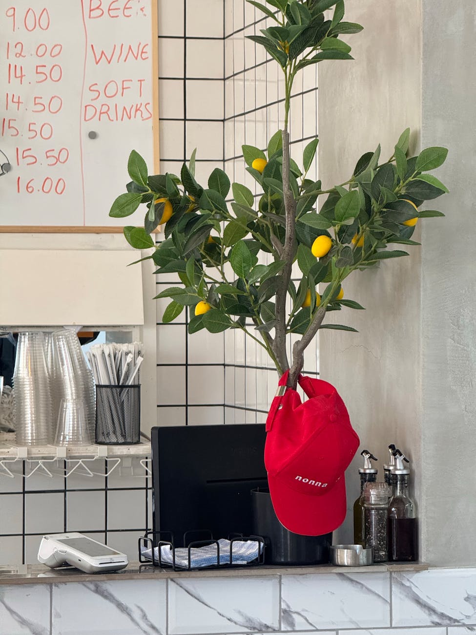 dwarf meyer lemon tree inside cafe with red cap and menu board