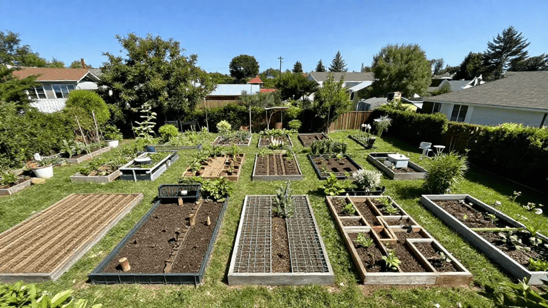 Garden Layout Ideas For a Thriving First Garden