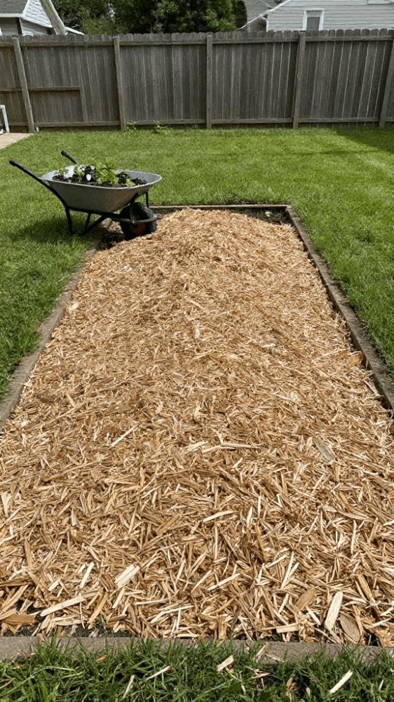Wood Chips laid down