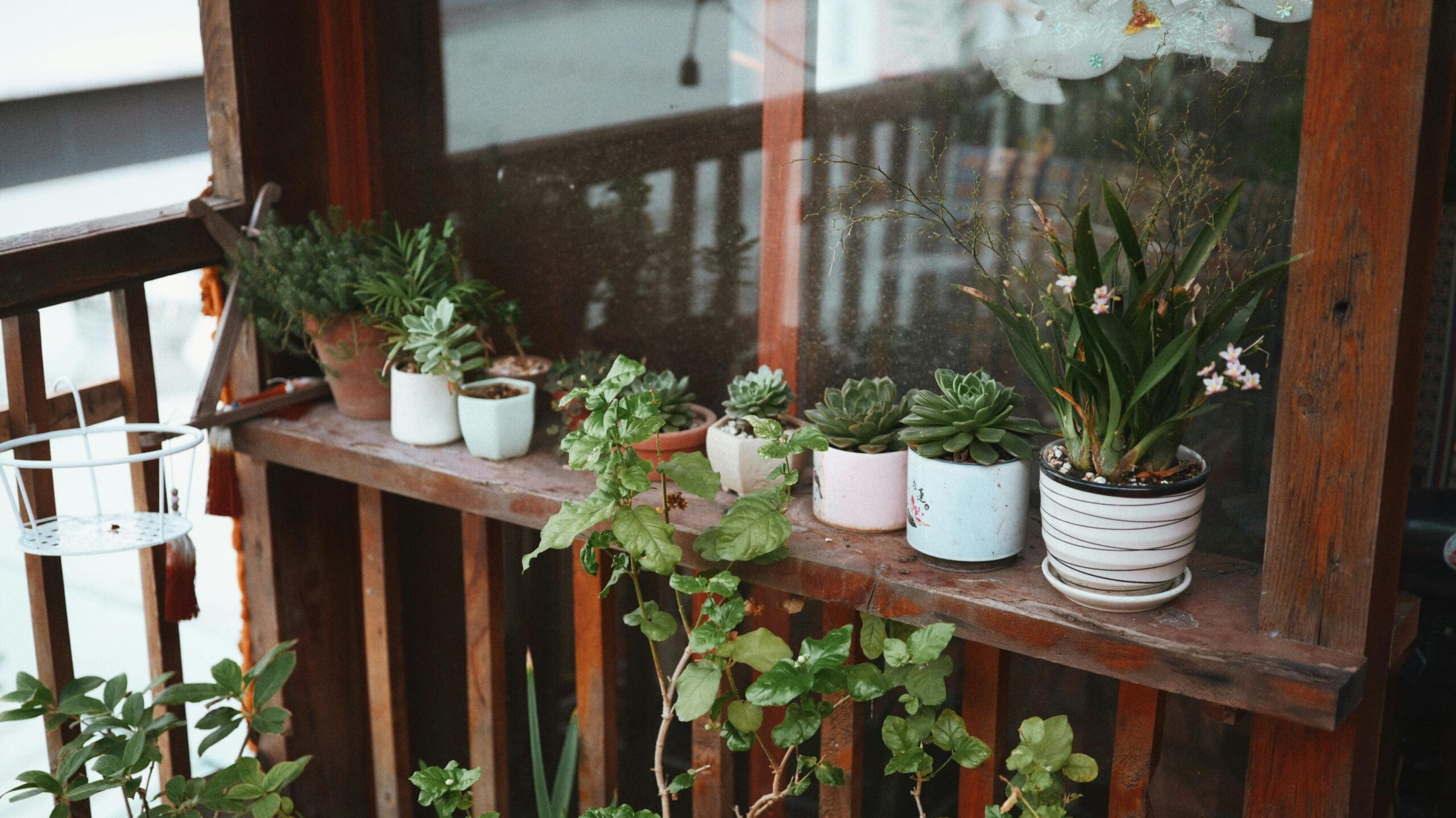 10 Budget-Friendly Ways To Build a Balcony Vegetable Garden
